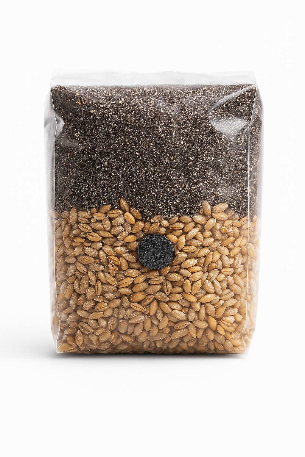 All-In-One Mushroom Grow Kit 1KG – Grain Spawn + CVG Substrate